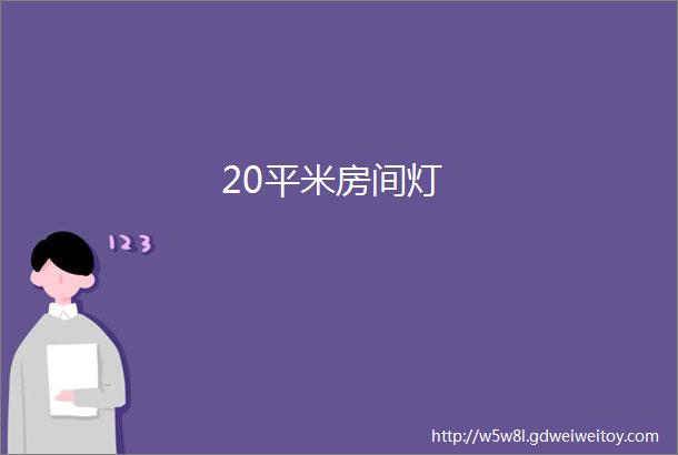 20平米房间灯