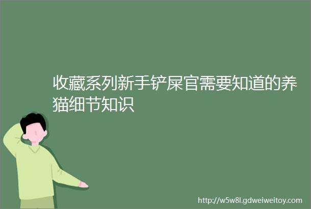 收藏系列新手铲屎官需要知道的养猫细节知识